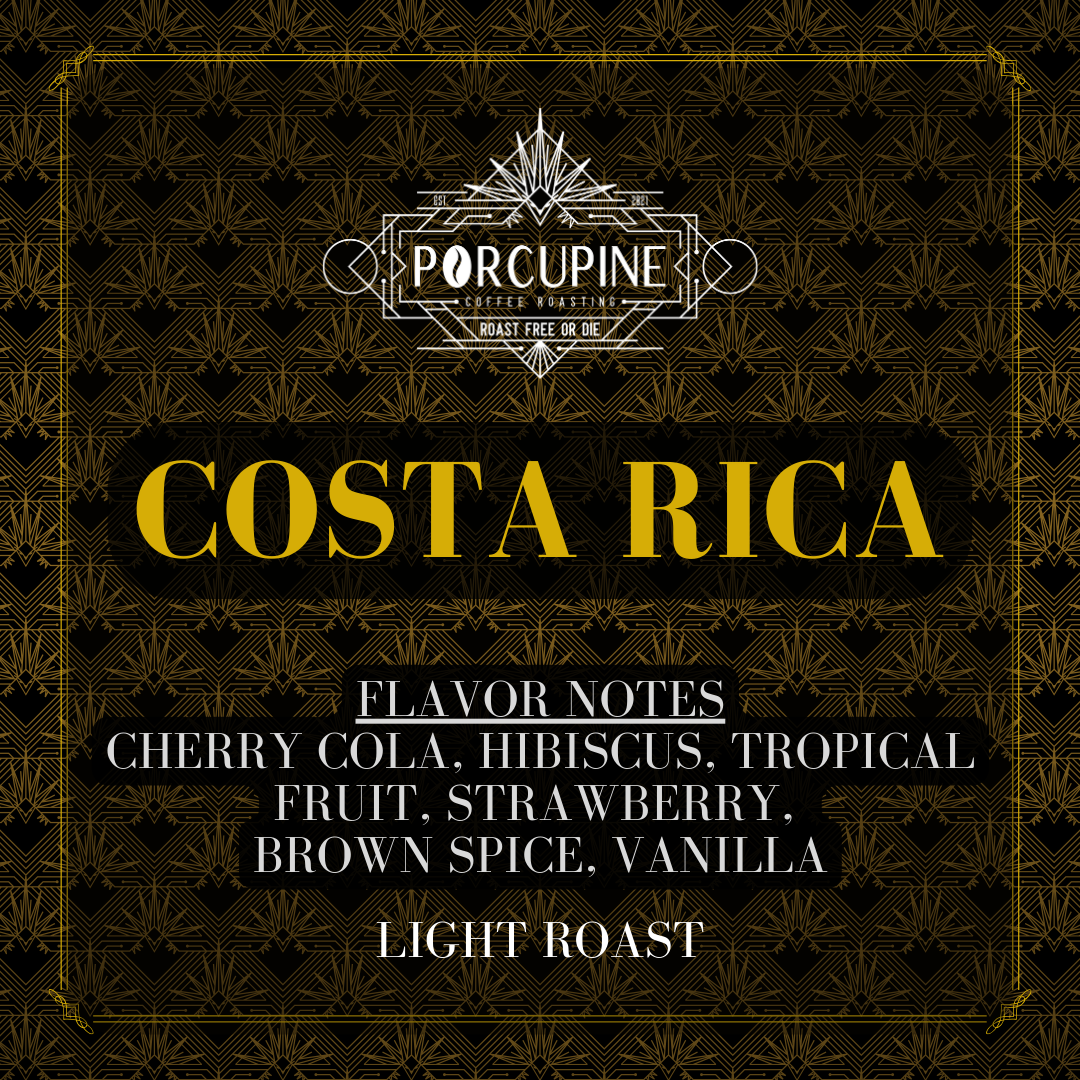 Costa Rica - November '24 Coffee of the Month