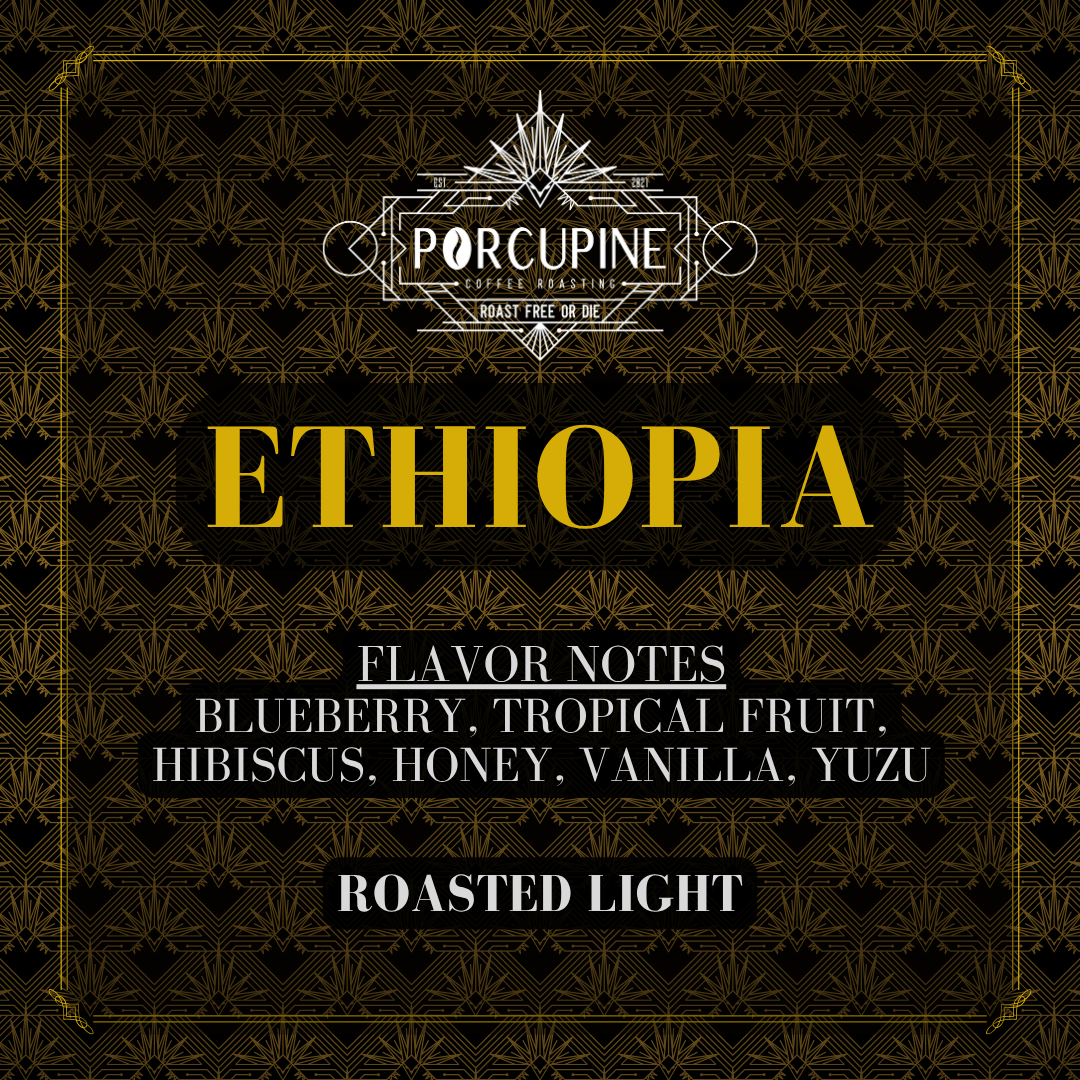 Ethiopia - November '25 Coffee of the Month